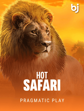 Hot Safari icon